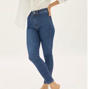 Everlane Way high Skinny Jean